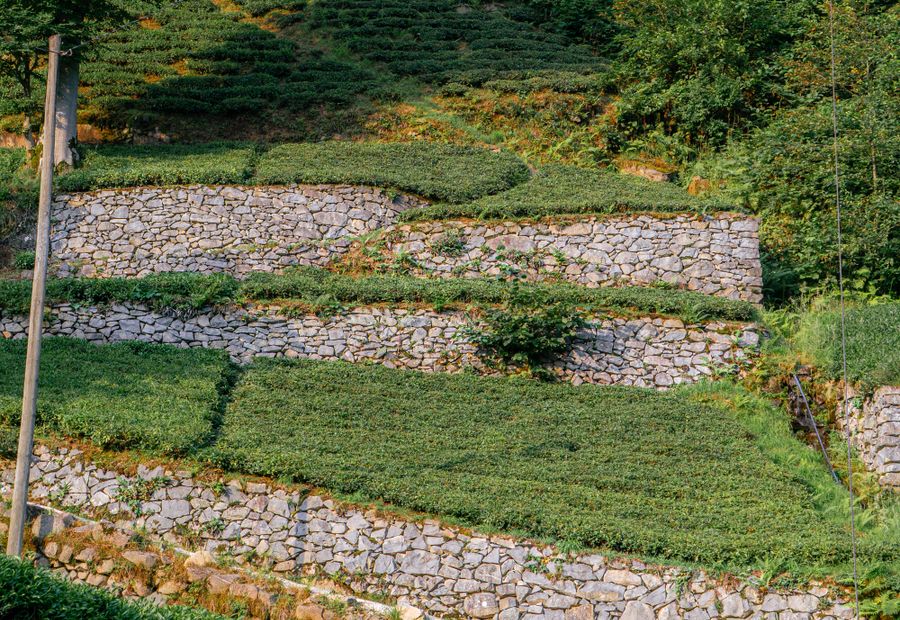 Two terraced block walls with a planted bench between them on a Brown County slope